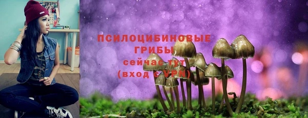 гашишное масло Магас
